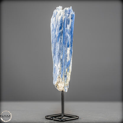 Natürlicher Kyanit-Kristall Cluster auf Ständer aus Brasilien - 438,69g