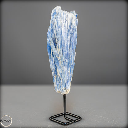 Natürlicher Kyanit-Kristall Cluster auf Ständer aus Brasilien - 438,69g