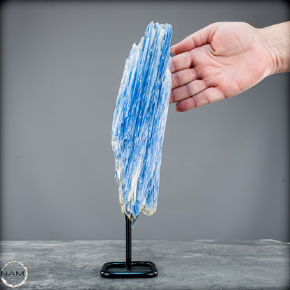 Natürlicher Kyanit-Kristall Cluster auf Ständer aus Brasilien - 1023,69g