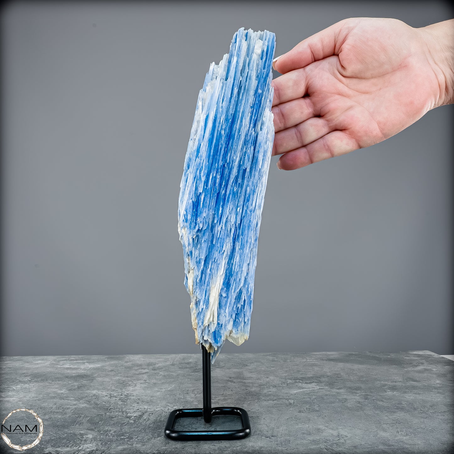 Natürlicher Kyanit-Kristall Cluster auf Ständer aus Brasilien - 1023,69g
