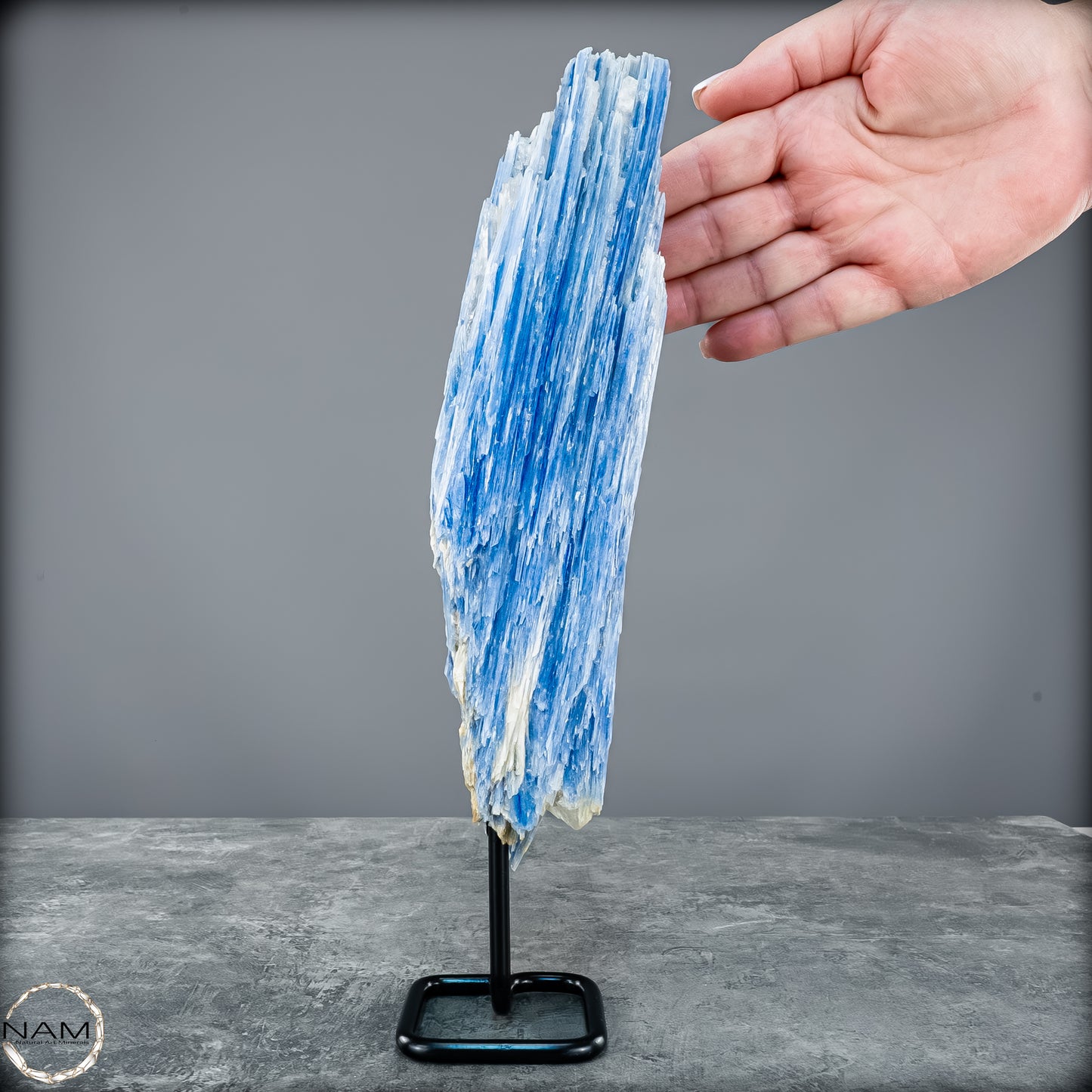 Natürlicher Kyanit-Kristall Cluster auf Ständer aus Brasilien - 1023,69g