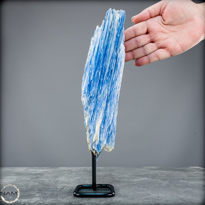 Natürlicher Kyanit-Kristall Cluster auf Ständer aus Brasilien - 1023,69g