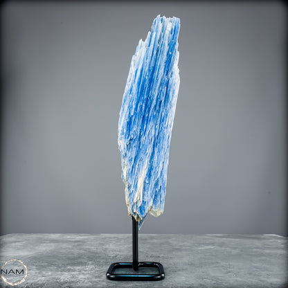 Natürlicher Kyanit-Kristall Cluster auf Ständer aus Brasilien - 1023,69g
