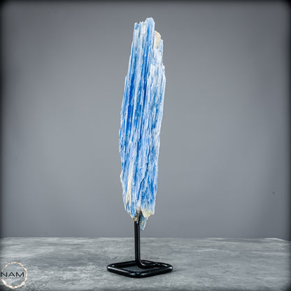 Natürlicher Kyanit-Kristall Cluster auf Ständer aus Brasilien - 1023,69g