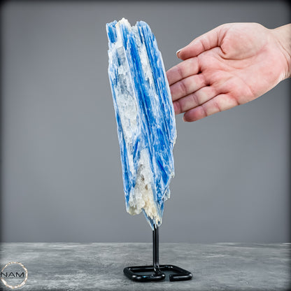 Natürlicher Kyanit-Kristall Cluster auf Ständer aus Brasilien - 1023,69g