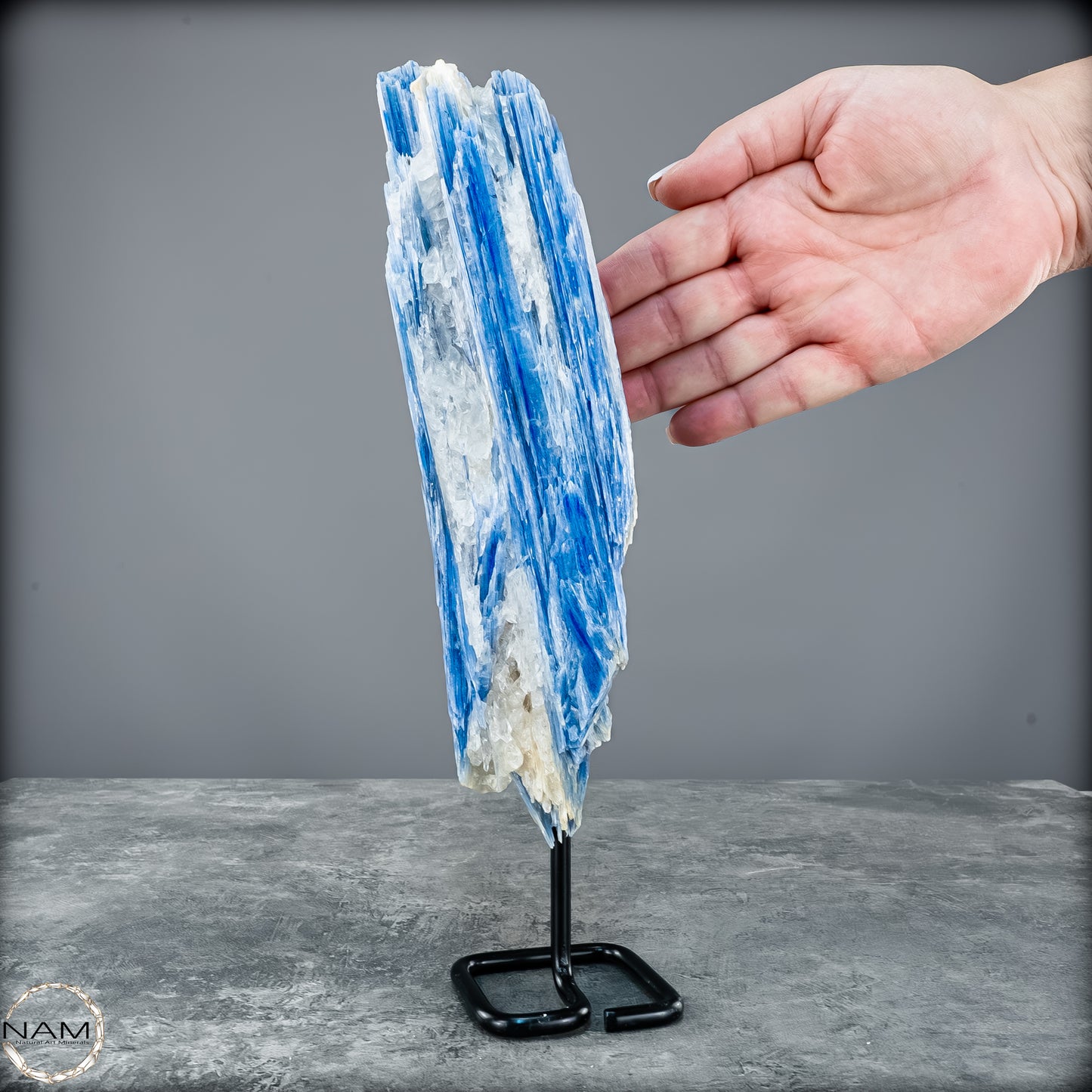 Natürlicher Kyanit-Kristall Cluster auf Ständer aus Brasilien - 1023,69g