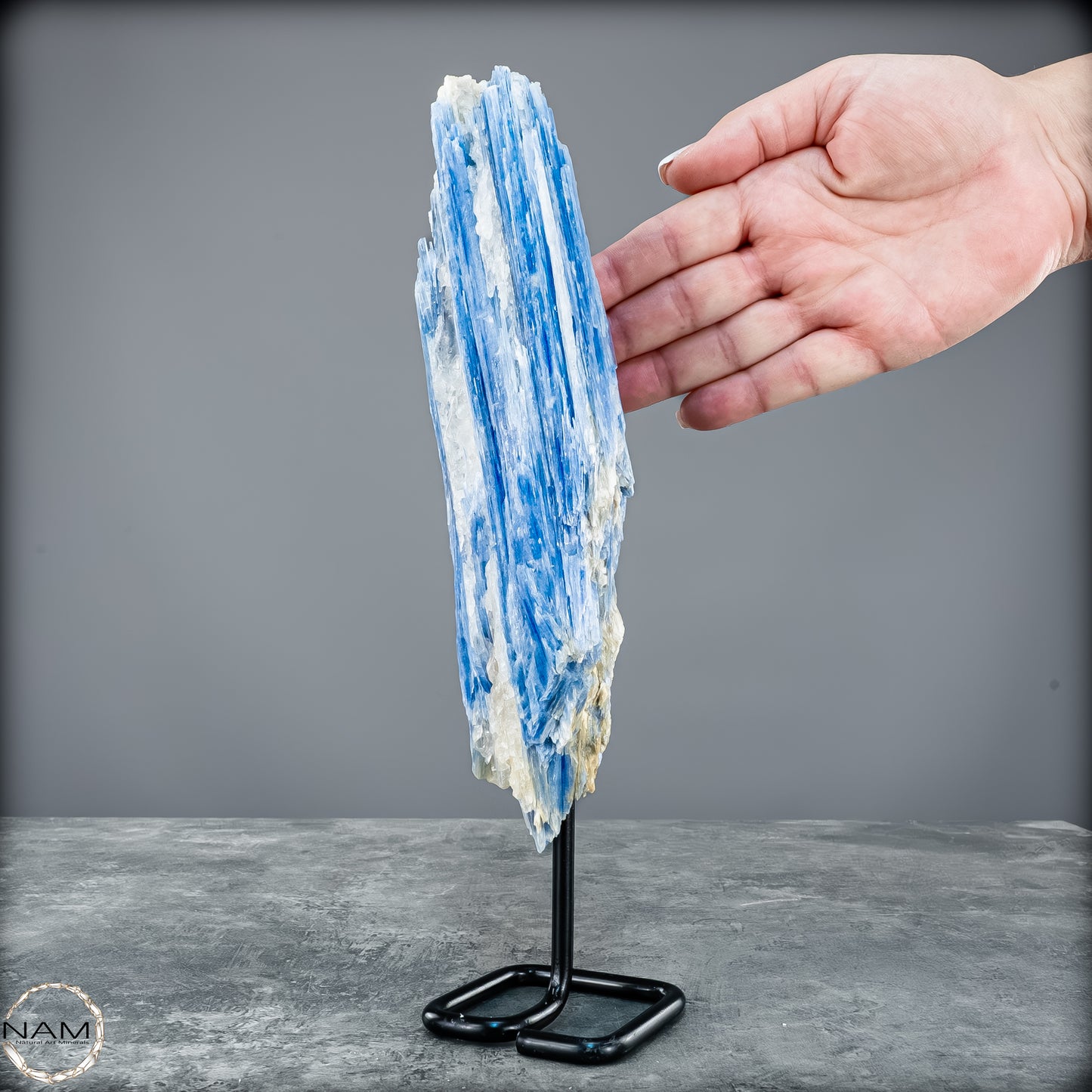 Natürlicher Kyanit-Kristall Cluster auf Ständer aus Brasilien - 1023,69g