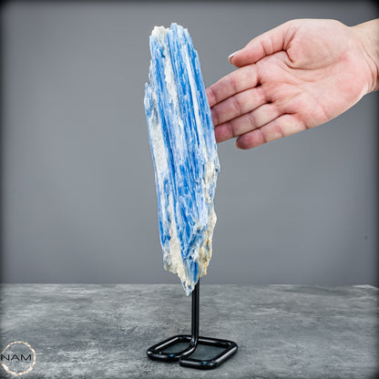 Natürlicher Kyanit-Kristall Cluster auf Ständer aus Brasilien - 1023,69g