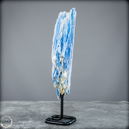 Natürlicher Kyanit-Kristall Cluster auf Ständer aus Brasilien - 1023,69g