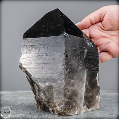 Rauchquarz Spitze – Kraftvolle Erdung in ihrer reinsten Form - 2402,16g