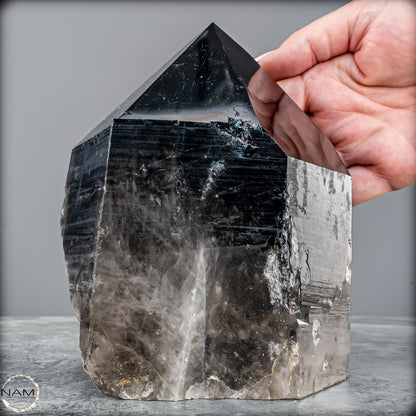 Rauchquarz Spitze – Kraftvolle Erdung in ihrer reinsten Form - 2402,16g