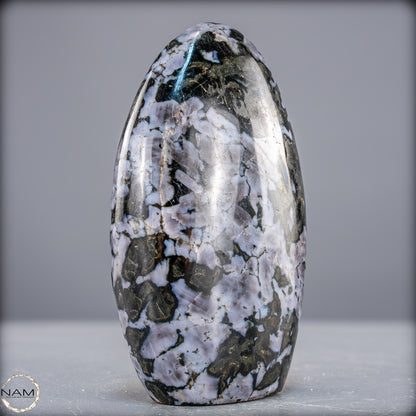 Natürliche Merlinit (Gabbro) Kristall Freiform - 882,07g