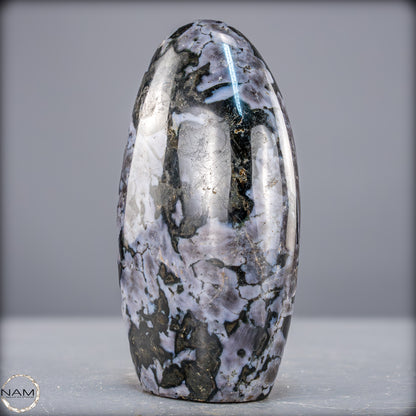 Natürliche Merlinit (Gabbro) Kristall Freiform - 882,07g