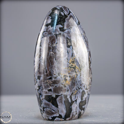 Natürliche Merlinit (Gabbro) Kristall Freiform - 882,07g