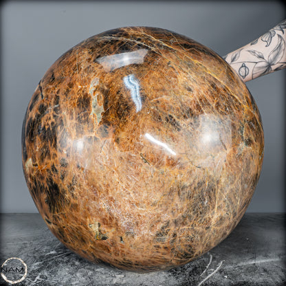 Riesige Natürliche Funkelnde Mondstein Kristall-Kugel - 47942g