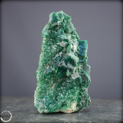 Natürliche Grüner Fluorit Kristalle auf Matrix - 1264,05