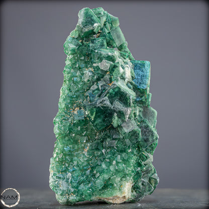 Natürliche Grüner Fluorit Kristalle auf Matrix - 1264,05