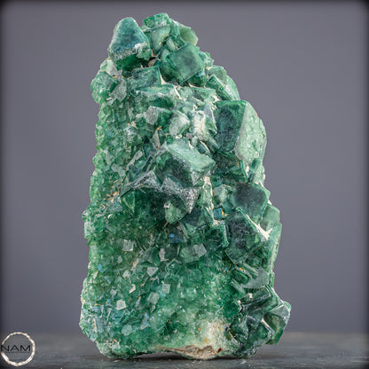Natürliche Grüner Fluorit Kristalle auf Matrix - 1264,05