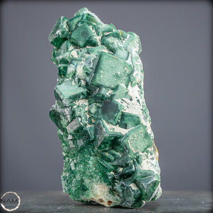 Natürliche Grüner Fluorit Kristalle auf Matrix - 1264,05