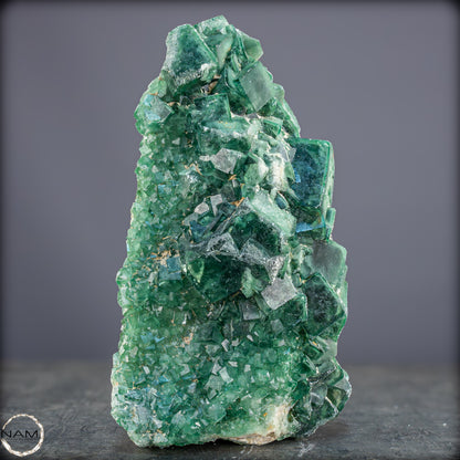 Natürliche Grüner Fluorit Kristalle auf Matrix - 1264,05