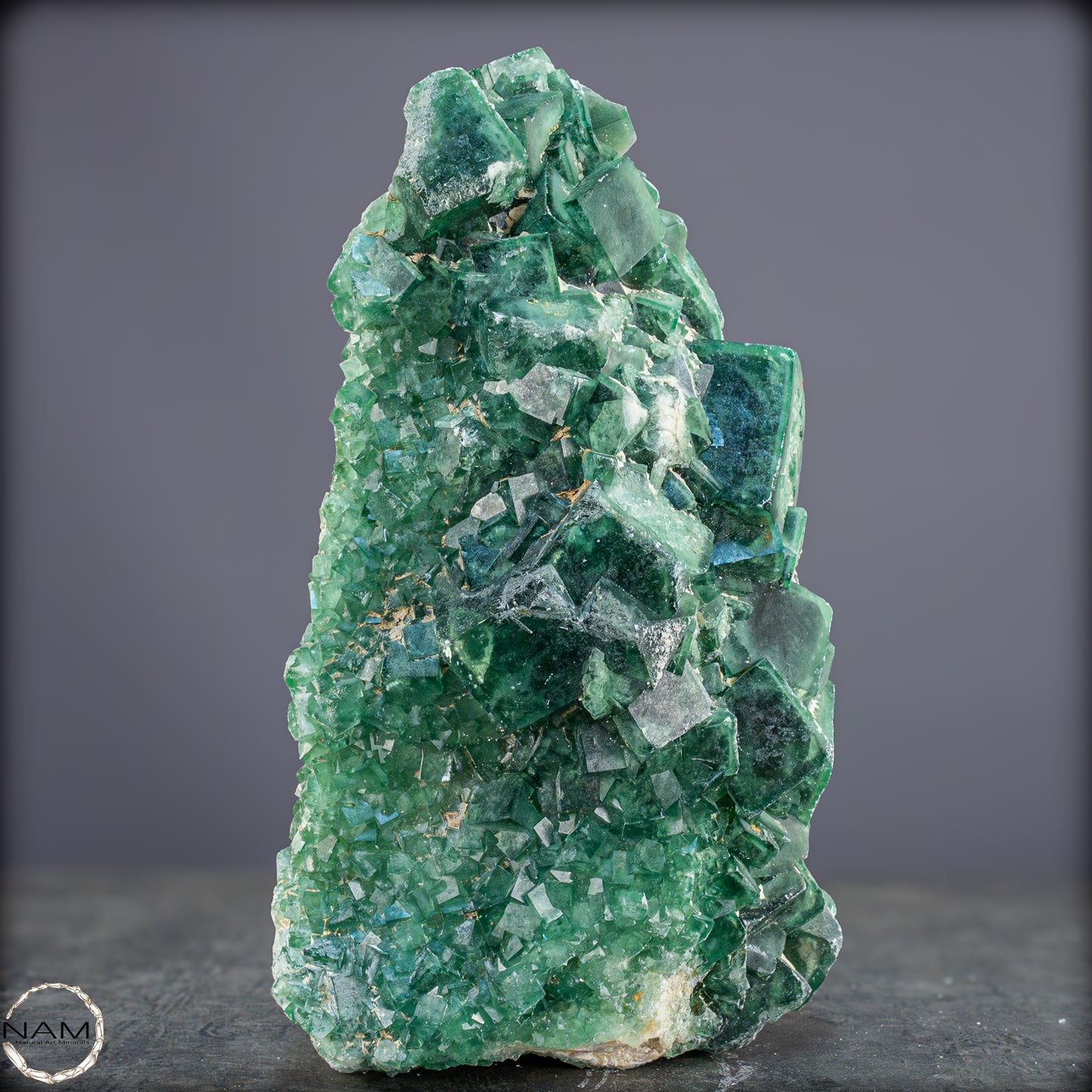 Natürliche Grüner Fluorit Kristalle auf Matrix - 1264,05
