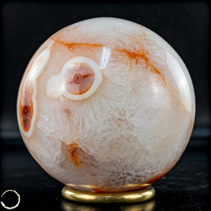Natürliche Mehrfabige Carneol Kristall Kugel - 710,32 g - 80mm