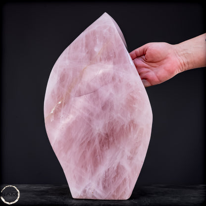 Große Rosenquarz Freiform - 15432,71g