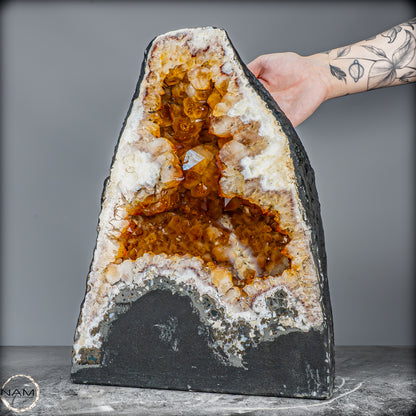 Große Citrin-Quarz Druse, Brasilien - 17088,32g