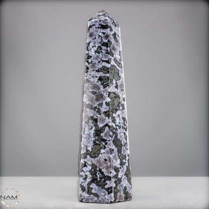 Natürlicher Merlinit (Gabbro) Kristall Obelisk - 2312,18g