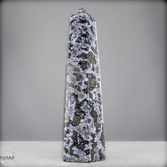 Natürlicher Merlinit (Gabbro) Kristall Obelisk - 2312,18g