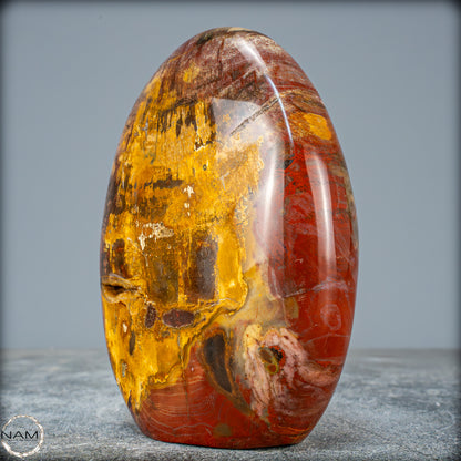 Natürliche Kristall-Freiform aus Versteinertem Holz  - 853,42g