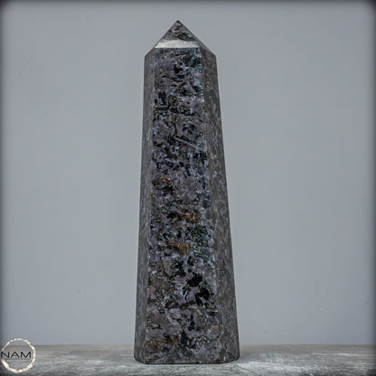 Natürlicher Merlinit (Gabbro) Kristall Obelisk - 1696,96g
