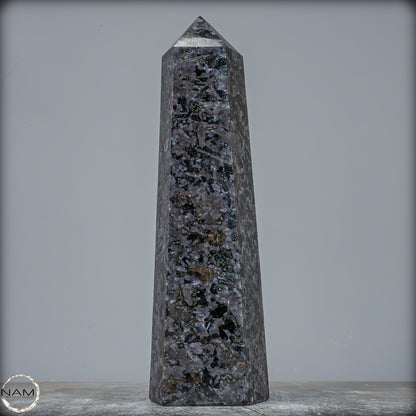 Natürlicher Merlinit (Gabbro) Kristall Obelisk - 1696,96g