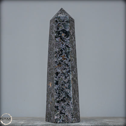 Natürlicher Merlinit (Gabbro) Kristall Obelisk - 1696,96g