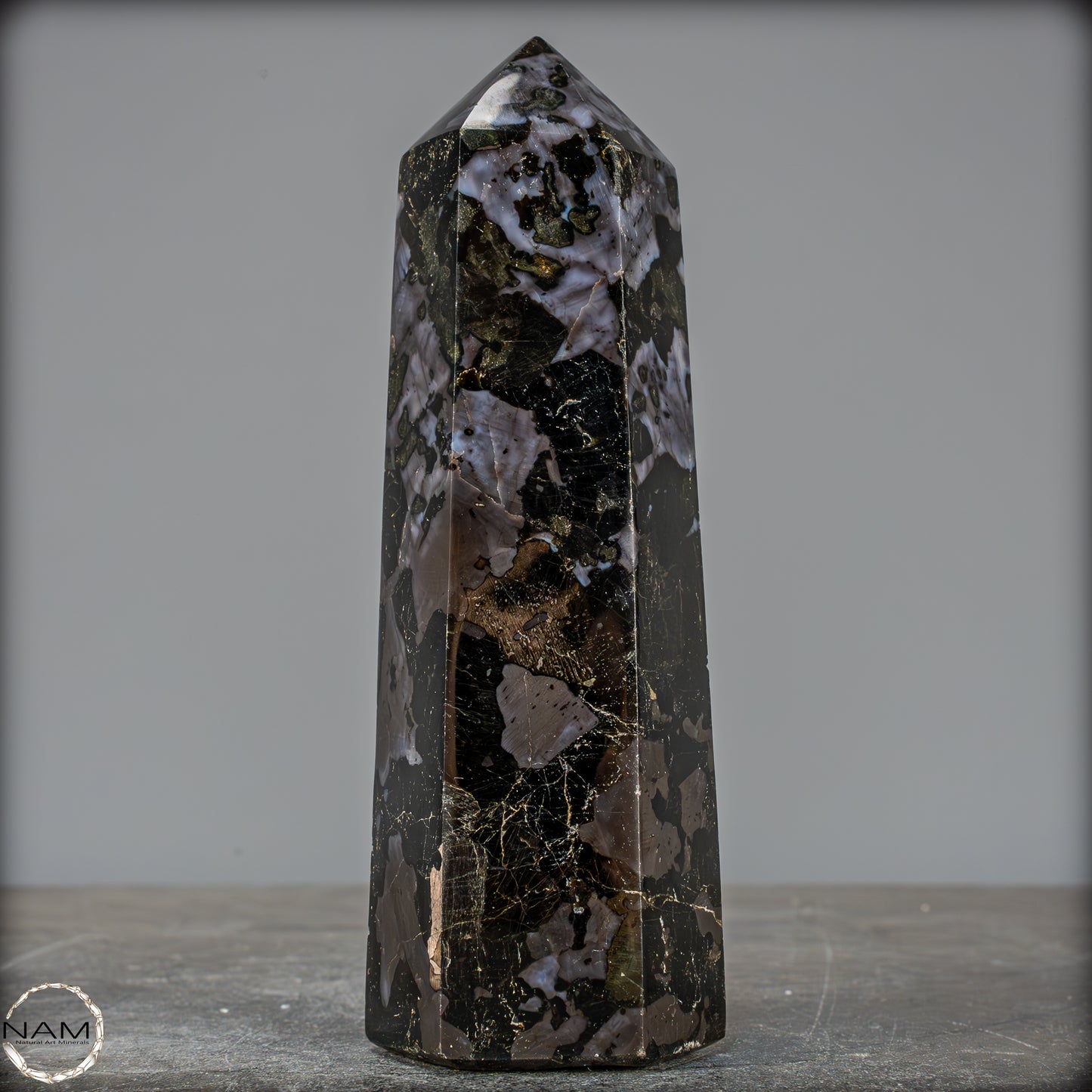 Natürlicher Merlinit (Gabbro) Kristall Obelisk - 670,06g