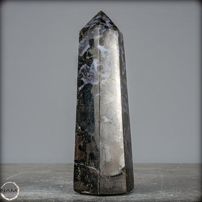 Natürlicher Merlinit (Gabbro) Kristall Obelisk - 670,06g