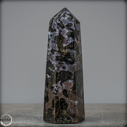 Natürlicher Merlinit (Gabbro) Kristall Obelisk - 670,06g