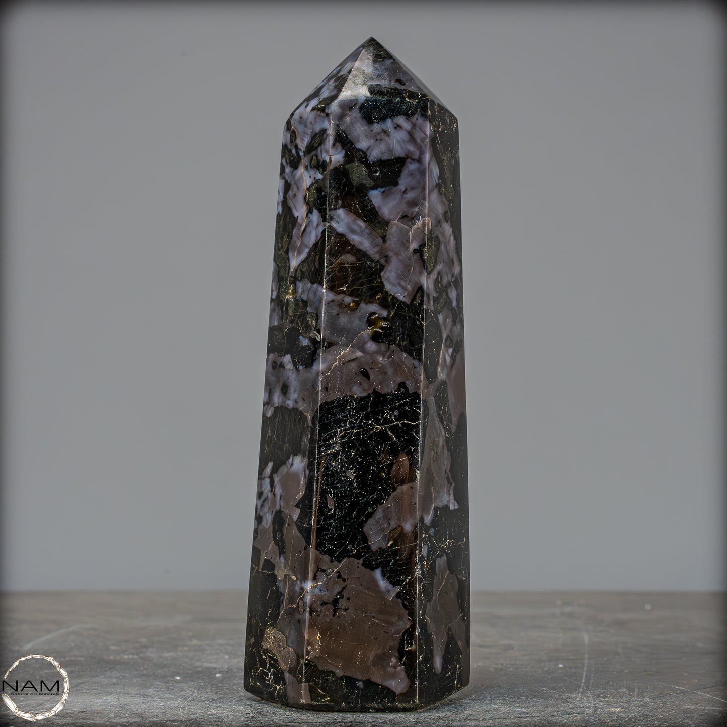 Natürlicher Merlinit (Gabbro) Kristall Obelisk - 670,06g