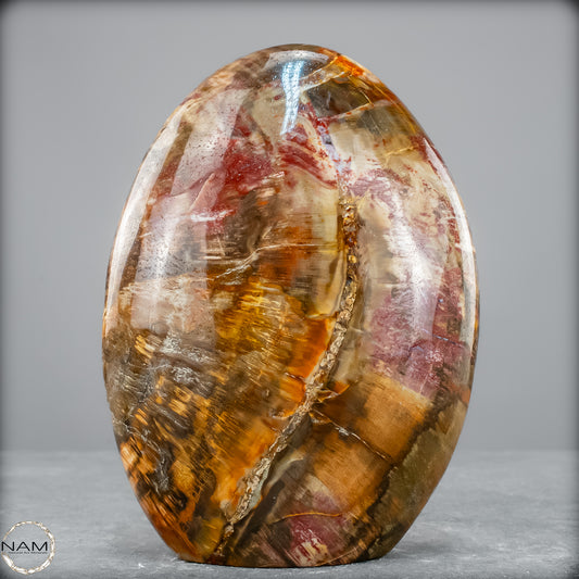 Natürliche Kristall-Freiform aus Versteinertem Holz  - 1290,37 g