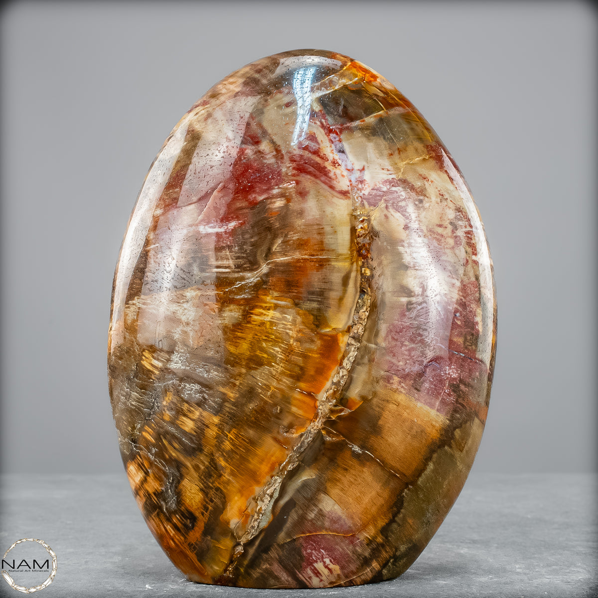 Natürliche Kristall-Freiform aus Versteinertem Holz  - 1290,37 g