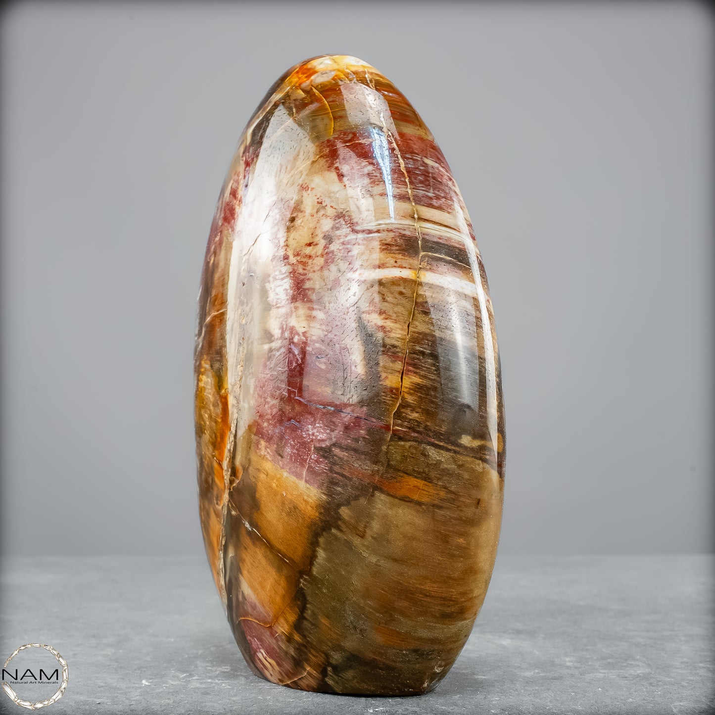Natürliche Kristall-Freiform aus Versteinertem Holz  - 1290,37 g