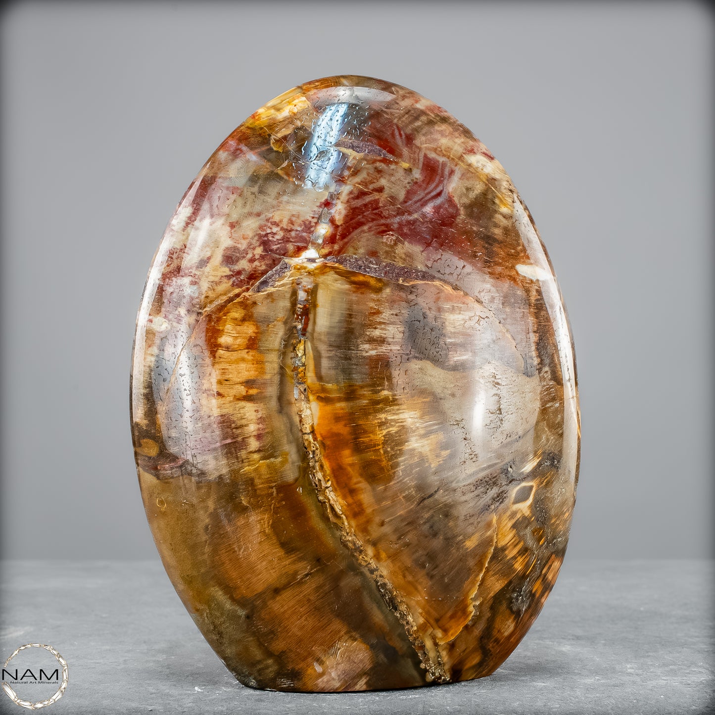 Natürliche Kristall-Freiform aus Versteinertem Holz  - 1290,37 g