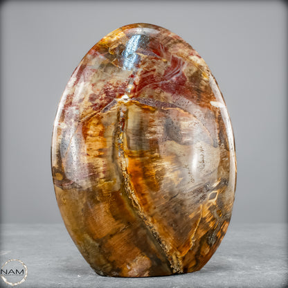 Natürliche Kristall-Freiform aus Versteinertem Holz  - 1290,37 g