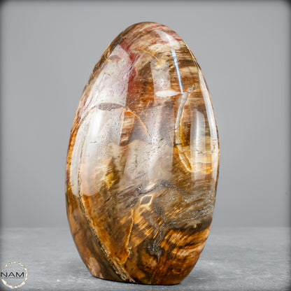 Natürliche Kristall-Freiform aus Versteinertem Holz  - 1290,37 g