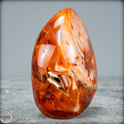 Natürlicher Roter Carneol-Kristall Freiform - 564,49g