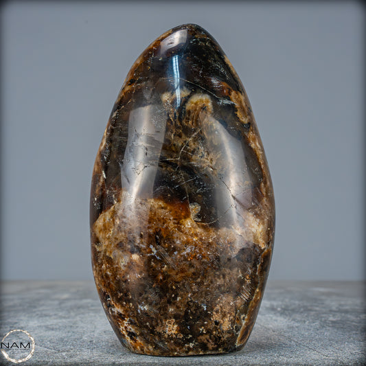 Natürliche Schwarzer Opal Freiform - 568,53g