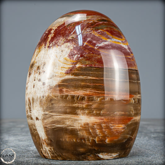 Natürliche Kristall-Freiform aus Versteinertem Holz  - 698,35g