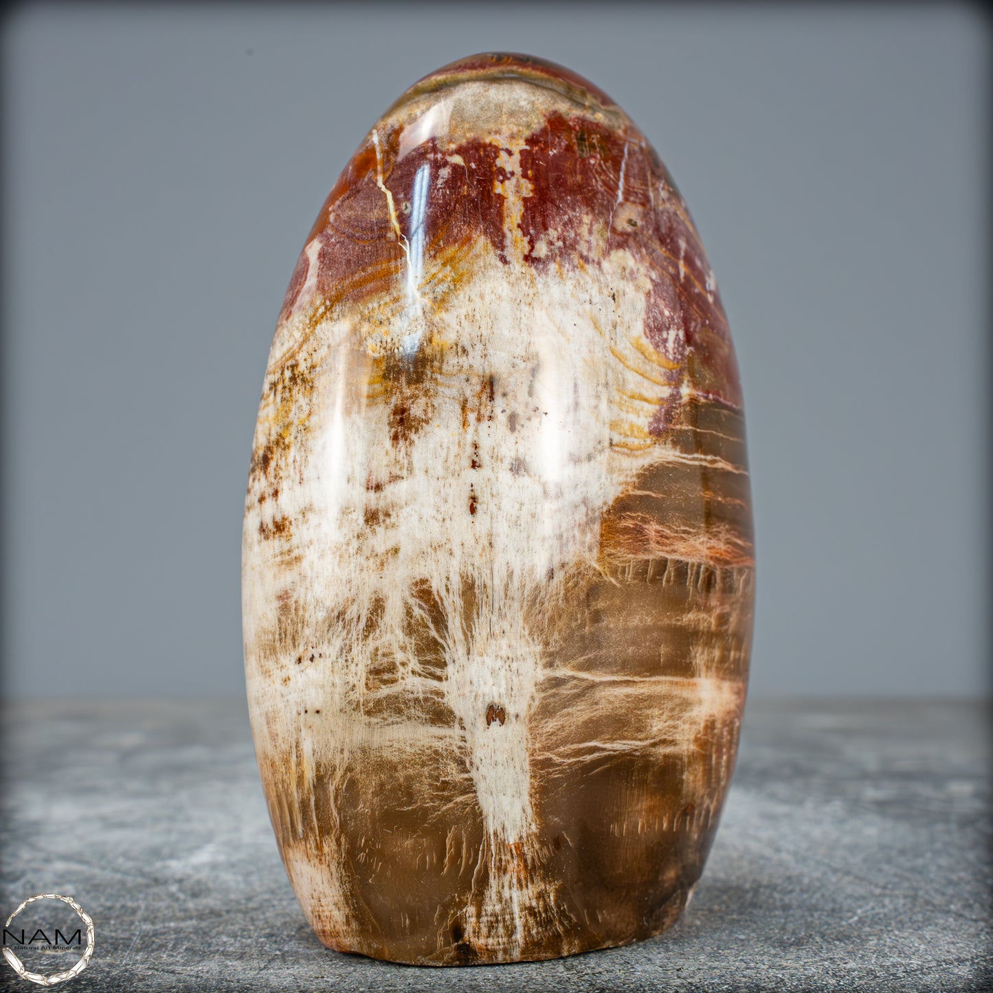 Natürliche Kristall-Freiform aus Versteinertem Holz  - 698,35g