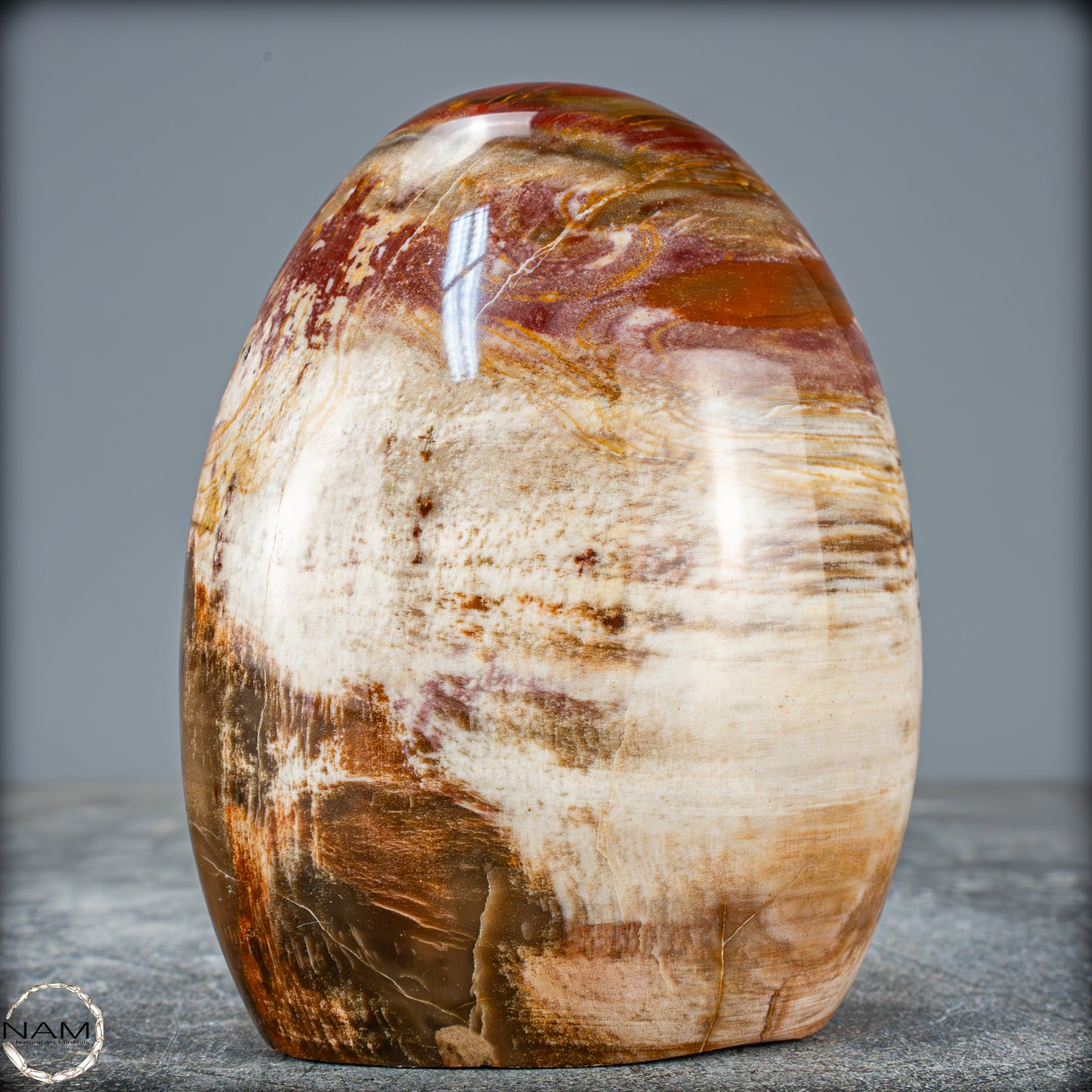 Natürliche Kristall-Freiform aus Versteinertem Holz  - 698,35g