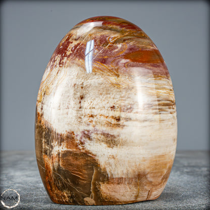 Natürliche Kristall-Freiform aus Versteinertem Holz  - 698,35g